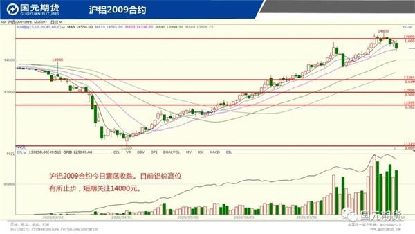 直播带货培训机构最新走势与趋势预测分析