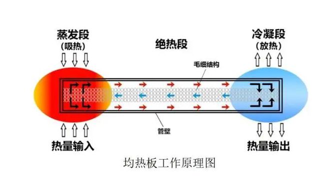 电灭蚊器效果怎么样，深入解析其性能、优缺点与实际应用