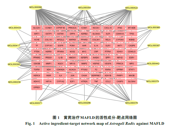 土工格栅与数据库及数据库软件的关系探讨