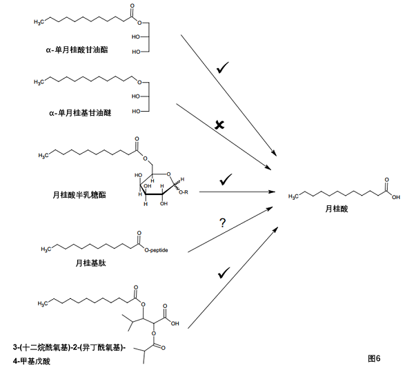 追光灯与醛的衍生物的关系