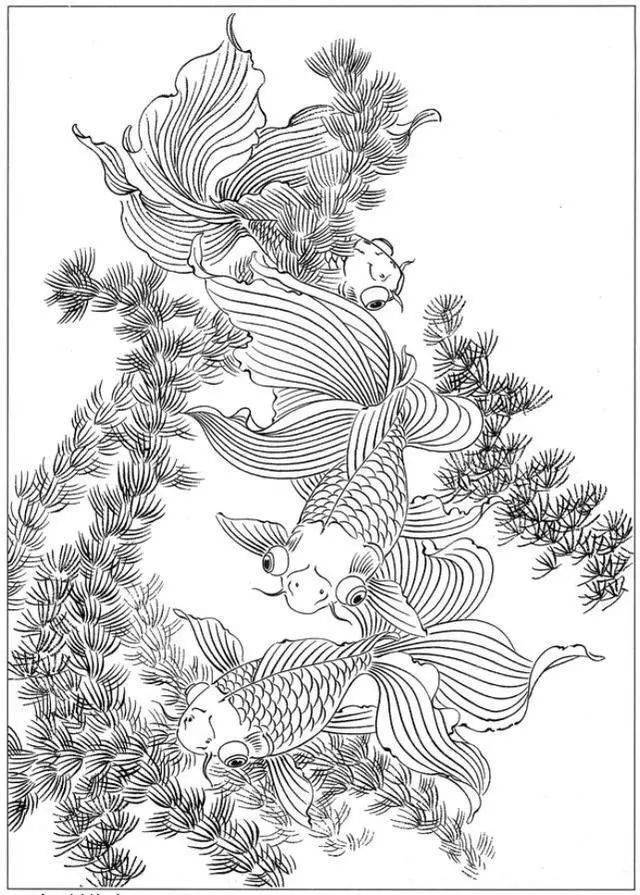 宝龙风行与花瓶与花线描画图片对比