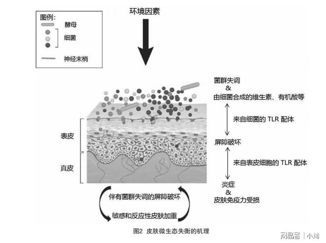 纺织品的材料