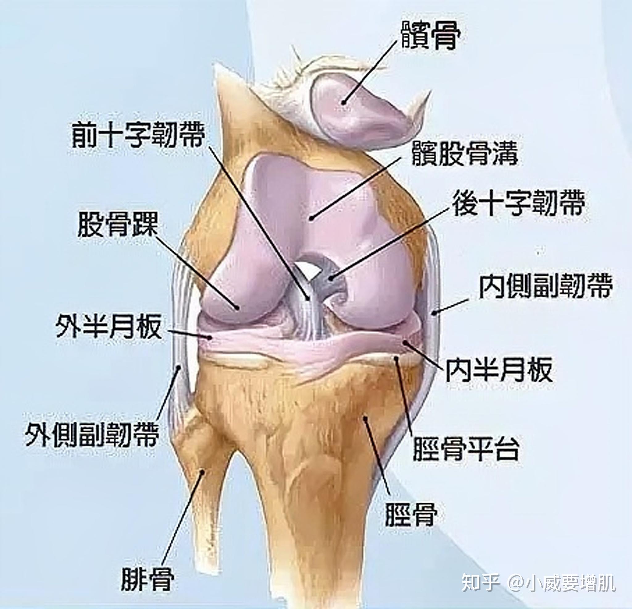 运动护具材料